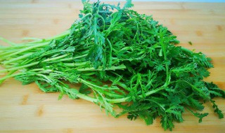 茼蒿发苦什么原因 茼蒿发苦怎么回事