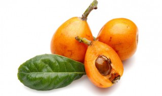 枇杷能不能带皮吃 枇杷可以带皮吃吗