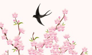 春分节气的饮食有注意什么 春分节气的饮食特点是什么