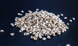 薏仁水每天喝行不行 薏仁水可以天天喝吗