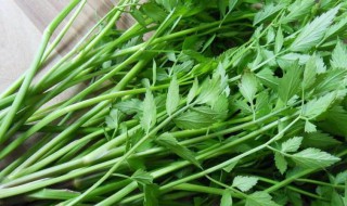 荠菜熬水的功效 荠菜熬水有什么功效呢