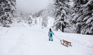 西岭雪山什么月份最适合滑雪 西岭雪山几月份最适合滑雪