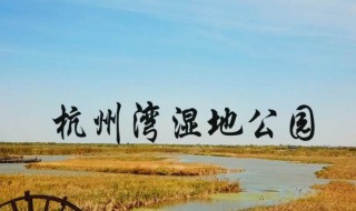 杭州湾湿地公园景点简介 杭州湾湿地公园景点介绍