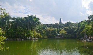 南宁哪些景点必去 南宁有什么好玩的地方景点推荐