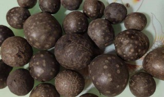 黄药子介绍 黄药子的功效与作用