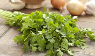 喝香菜水有哪些功效作用 喝香菜水的功效与作用