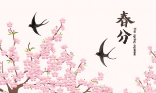 春分节气饮食有什么 春分节气饮食养生