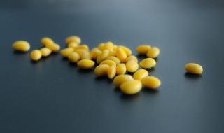 煮熟的黄豆发霉了能不能吃 煮熟的黄豆发霉了能吃吗