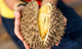 喝完酒之后多久能吃榴莲 喝酒后多长时间能吃榴莲