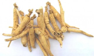 生晒参和人参有哪些区别 生晒参和人参的区别