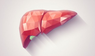 人的关键部位介绍 人的关键部位有哪些