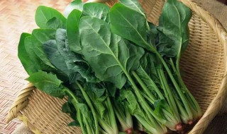 波菜是热性还是寒性 菠菜是凉性还是热性