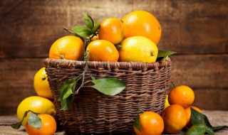 椪柑是热性还是凉性的食物 椪柑是热性还是凉性