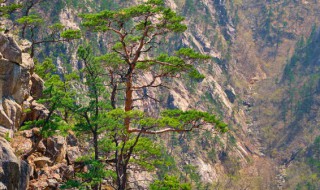 什么季节去南岳衡山最佳时间 什么季节去南岳衡山最佳