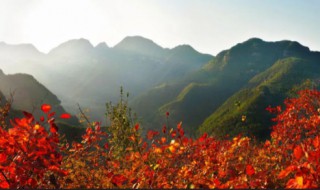 洛阳紫荆山景区 洛阳荆紫山什么季节去