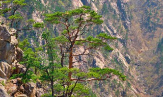 开县雪宝山什么季节去好玩 开县雪宝山什么季节去