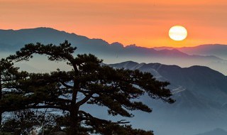 黄山介绍和特点 黄山介绍及特点