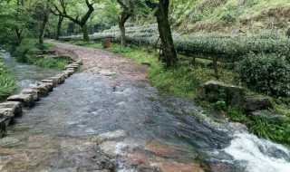 龙井村游玩攻略 龙井村一日旅游攻略