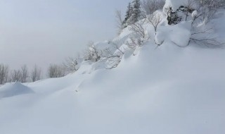 东北雪乡自驾游经历 东北雪乡自助游