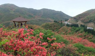 浏阳大围山适合什么季节去游玩 浏阳大围山适合什么季节去