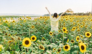 什么时候去成都旅游比较好点 什么时候去成都旅游比较好