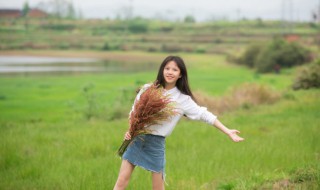 熊猫基地游玩路线 熊猫基地旅游攻略路线
