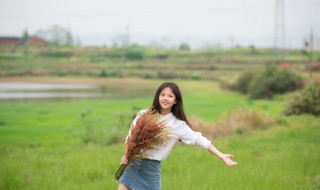 柳园旅游景点介绍 柳园旅游攻略