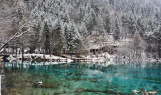 冬天可以去九寨沟旅游吗 冬天去九寨沟旅游攻略