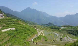 关于云和梯田景区游玩攻略 云和梯田景区游玩攻略