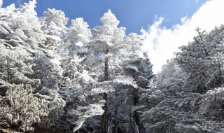 轿子雪山最佳旅游时间看雪 轿子雪山最佳旅游时间