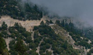 庐山最佳旅游路线 庐山最佳旅游时间