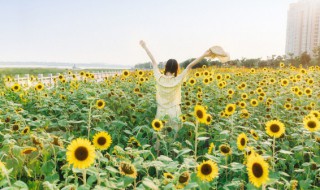 乌镇哪个季节去最好 乌镇什么季节去最好