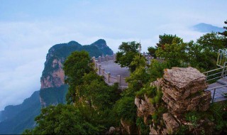 王莽岭景区资料介绍 王莽岭景区简介