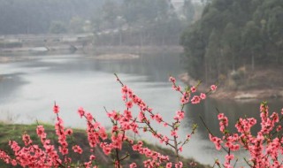 关于湖北十堰桃花岛的来历简介 湖北十堰桃花岛的来历简介