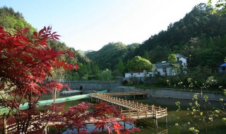 逍遥谷广东旅游景区简介 逍遥谷景点介绍