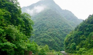 南川旅游十大景点 南川旅游景点大全