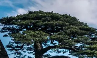 冬天黄山旅游注意事项 黄山冬季旅游注意事项