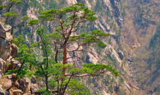 什么季节去武当山旅游景点好玩 什么季节去武当山旅游景点