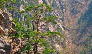 国庆节去华山的人多吗 华山什么时候人少旅游