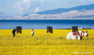 青海湖什么季节去最好 青海湖什么季节去最美