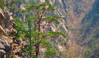 泰山有哪些著名景点图片 泰山有哪些著名景点