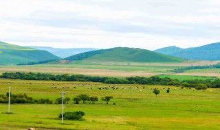 内蒙古什么地方适合自驾游旅游 内蒙古什么地方适合自驾游