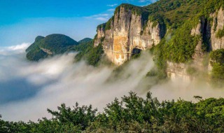 金佛山旅游攻略一日游 金佛山旅游最新攻略