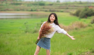 新疆喀纳斯游玩攻略 新疆喀纳斯旅游攻略