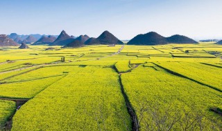 罗平旅游景点推荐 罗平旅游景点大全