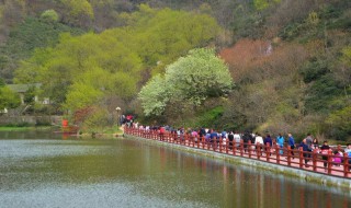 信阳市有哪些著名景点 信阳市著名景点介绍