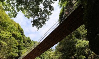 泰顺旅游景点 温州泰顺旅游景点简介