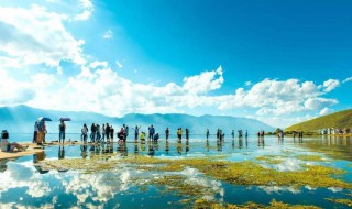 具体什么季节 最适合去云南的旅游季节