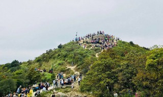 这里有什么特色 深圳梧桐山海拔多少米