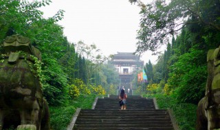 南充旅游攻略景点必去一日游 南充旅游攻略景点必去